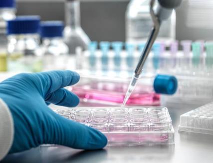 Research Programs